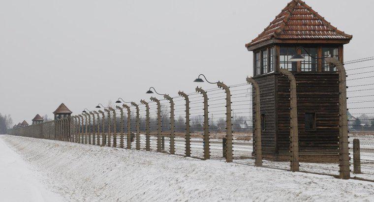 Quali sono alcuni eventi che hanno portato all'Olocausto?