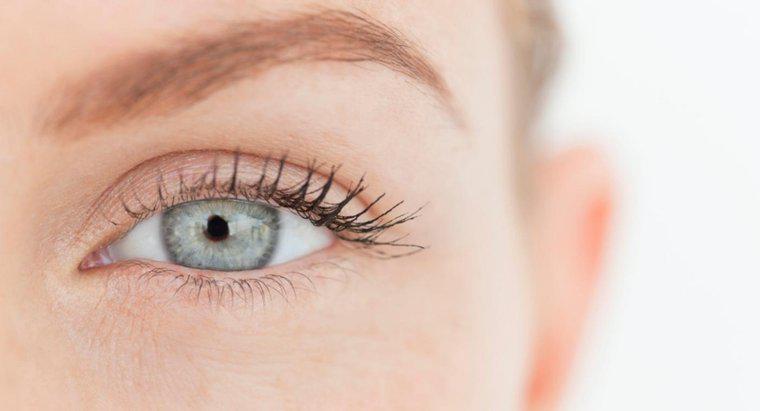 Come si chiama la parte bianca dell'occhio?