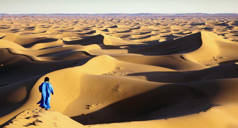 Quali sono le occupazioni di coloro che vivono nel deserto del Sahara?