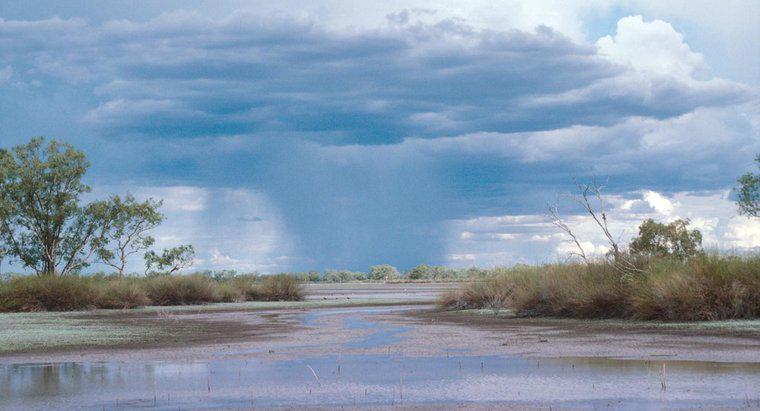 Qual è una quantità media di pioggia nelle zone umide?
