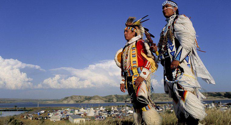 Qual è stato l'effetto dell'espansione verso ovest sui nativi americani?