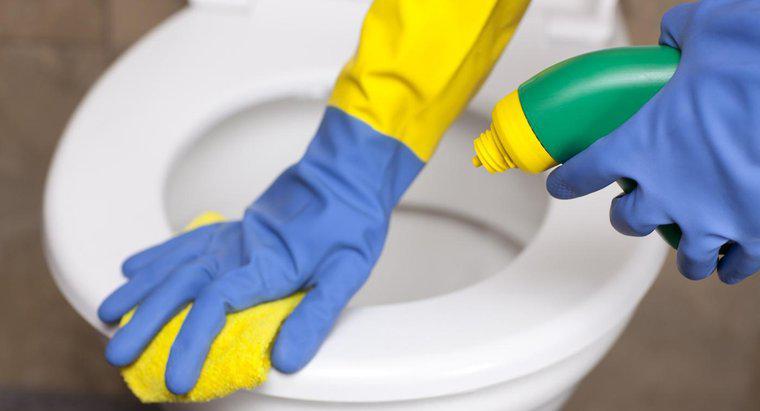 Quali sono gli ingredienti principali in The Works Toilet Bowl Cleaner?