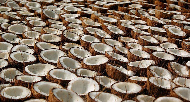 Quali sono i benefici per la salute e gli usi dell'olio di cocco?