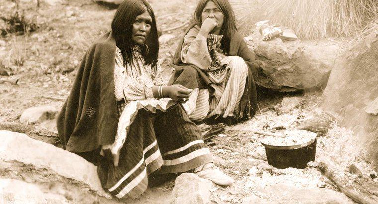 Dove vivevano gli indiani Apache?