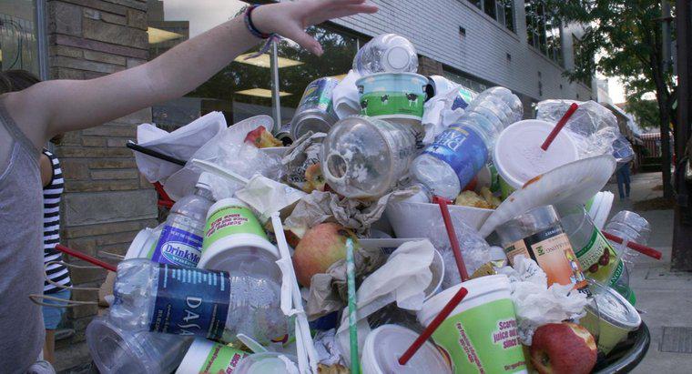 Quante bottiglie di plastica vengono buttate via ogni anno?