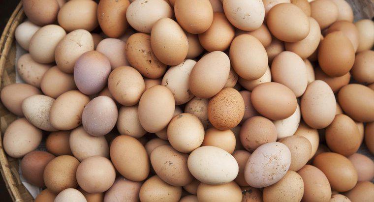 Le uova sono considerate latticini o pollame?