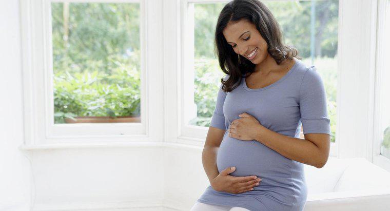 In che modo la gravidanza influisce sulla temperatura corporea basale della donna?