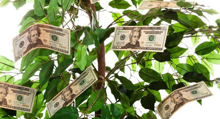 Come si dà un albero dei soldi come regalo?