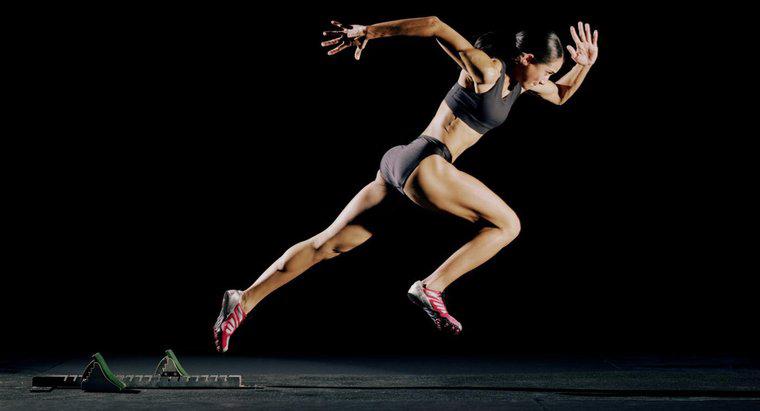 Come i muscoli lavorano insieme per produrre movimento?