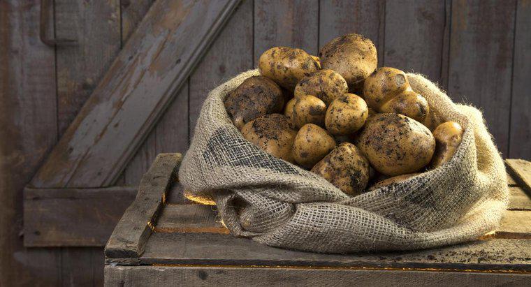 Quali sono alcune istruzioni per l'utilizzo di una borsa di patate?