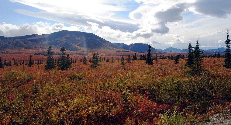 Quali sono i Landforms della Taiga?