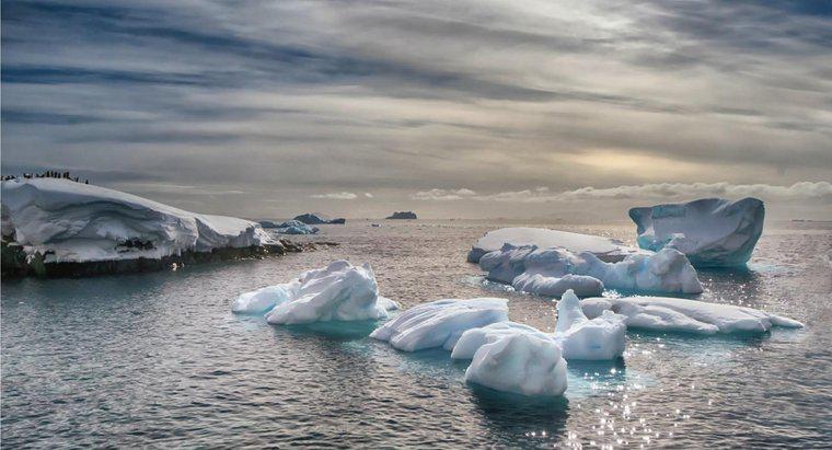 Quali sono i tre oceani che contrastano l'Antartide?