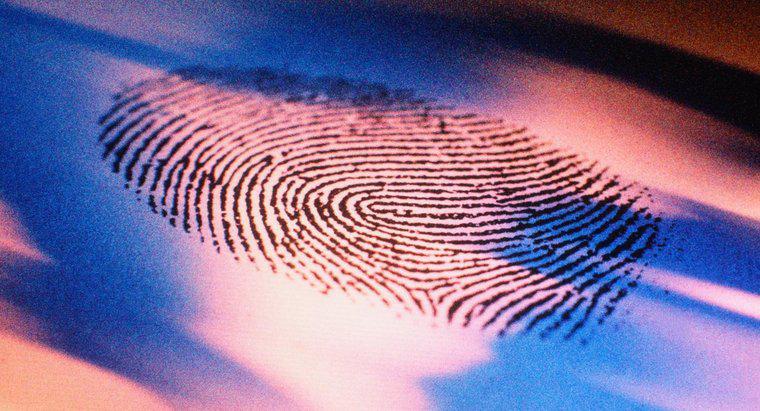 Qual è la storia delle impronte digitali?
