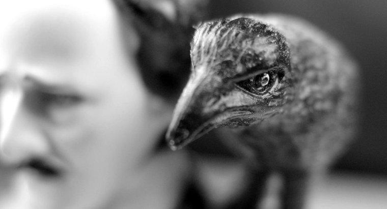 Quali sono alcune allusioni presenti in "The Raven" di Edgar Allen Poe?