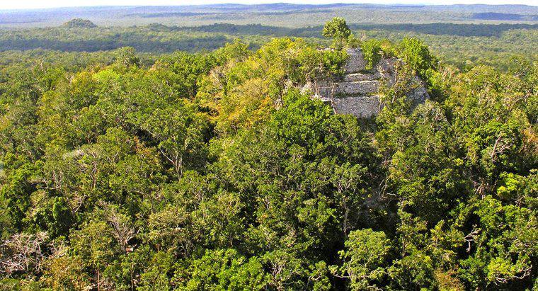 Dove vivevano i Maya?