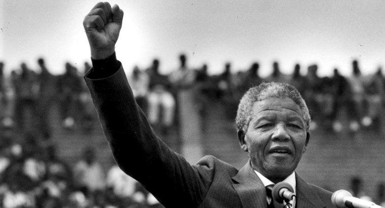 Per cosa ha combattuto Nelson Mandela?