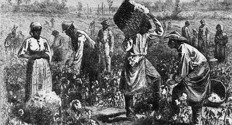 Come si è differenziata la questione della schiavitù nel Nord e nel Sud?