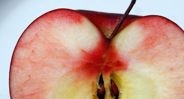 Come vengono dispersi i semi di Apple?