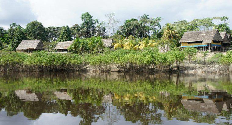 Dove inizia e finisce il Rio delle Amazzoni?