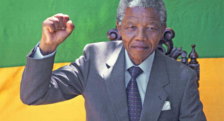 Cosa ha realizzato Nelson Mandela?