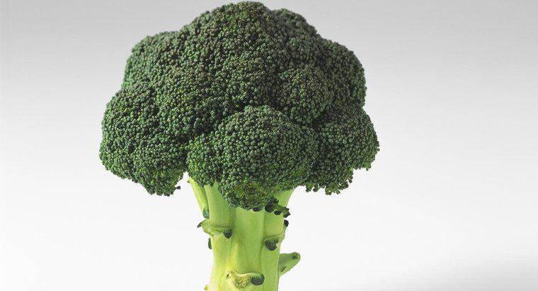 Cosa fa Broccoli per il tuo corpo?