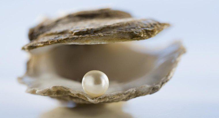Qual è il simbolismo di una perla?
