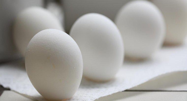 Cosa succede se mangi un uovo cattivo?