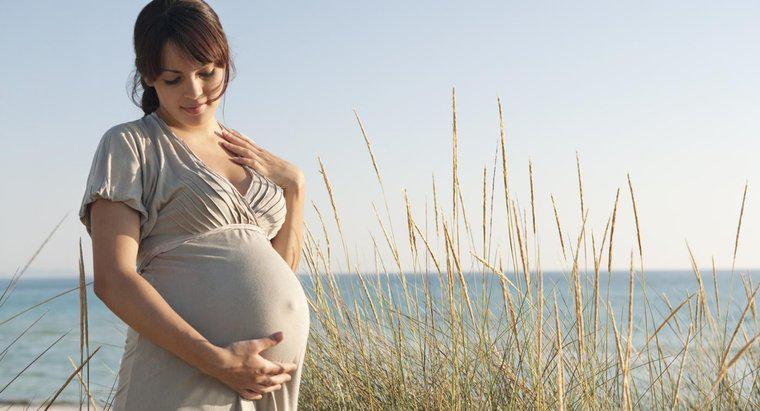 Quali sono alcuni segni di gravidanza negli esseri umani?