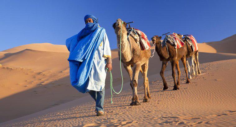 Quali Paesi copre il deserto del Sahara?