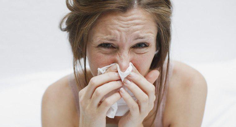 Quale agente patogeno provoca l'influenza?