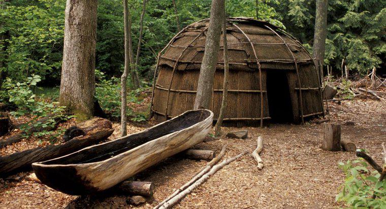 Dove viveva l'irochese?