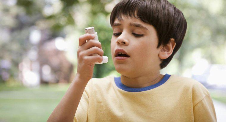 In che modo il sistema respiratorio è affetto da asma?