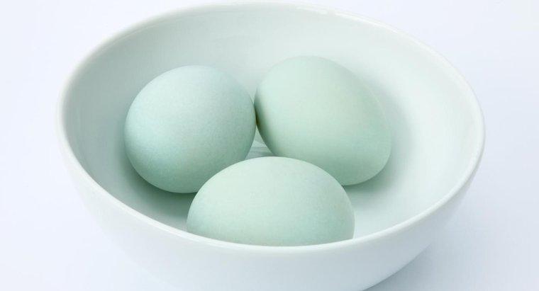 Quanto tempo fai bollire un uovo di anatra?