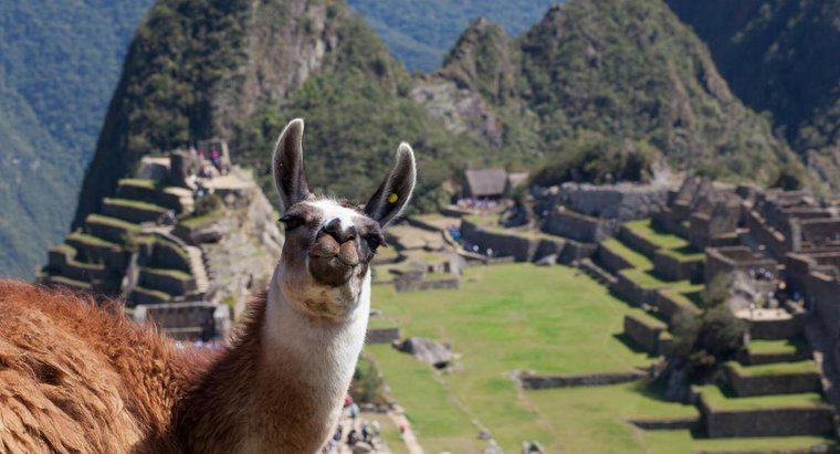 Dove si trovava l'impero Inca?