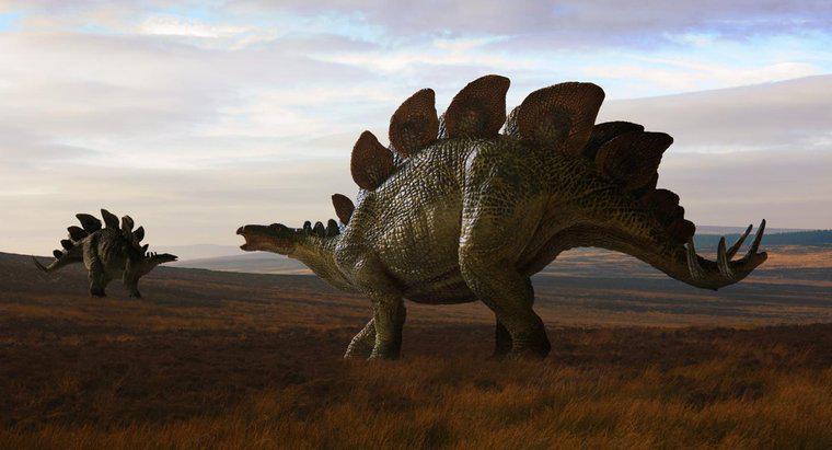 Quando i dinosauri vagavano per la terra?