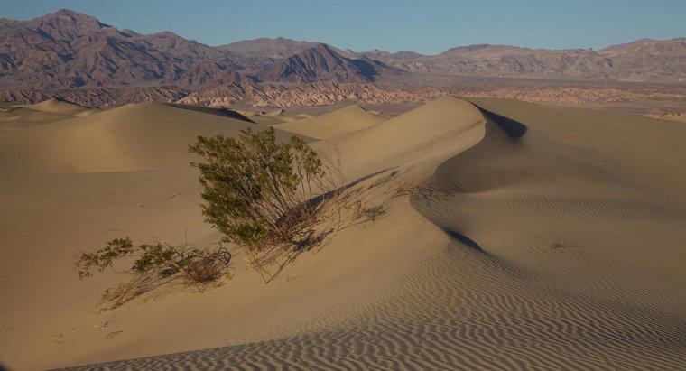 Quale agente di erosione crea le dune di sabbia?