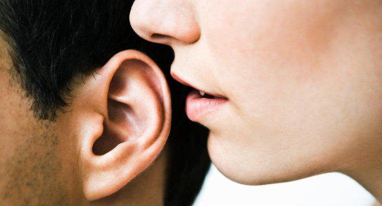 Quali sono le tre piccole ossa nell'orecchio?