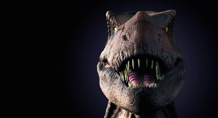 Quali sono alcuni fatti divertenti sul T. Rex per bambini?