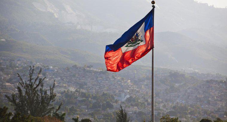 Qual è stata la causa della rivoluzione haitiana?