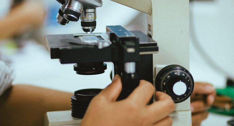 Qual è lo scopo di un microscopio?