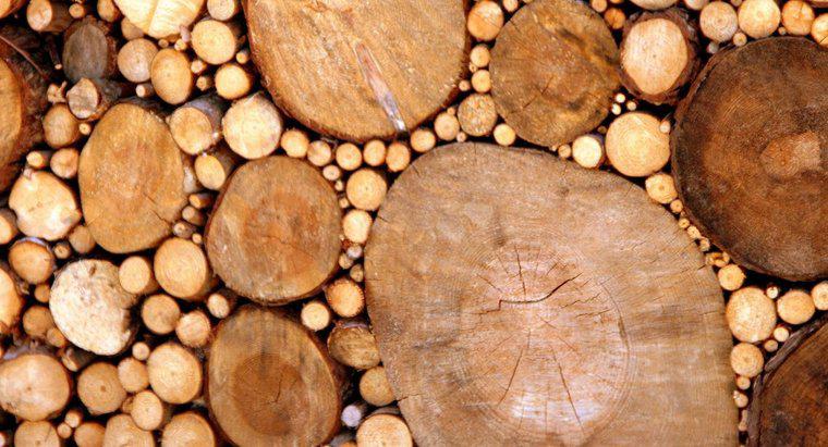Come si forma il legno?