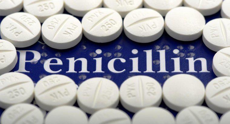 Cosa fa la penicillina?