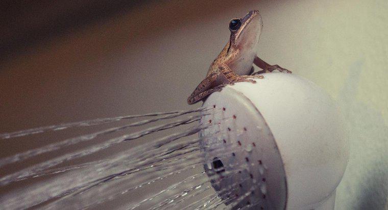 In che modo una ventola del ventilatore del bagno elimina l'umidità?