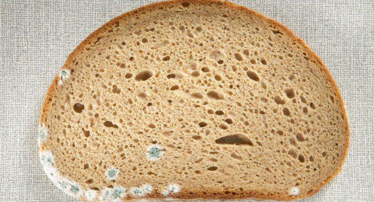 Quali sono i pericoli di mangiare il pane ammuffito?