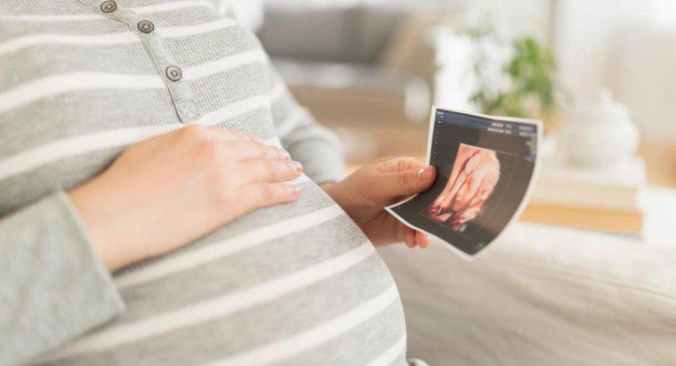 Come si formano le impronte digitali nell'utero?