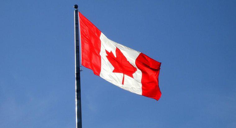 Cosa importa il Canada da altri Paesi?