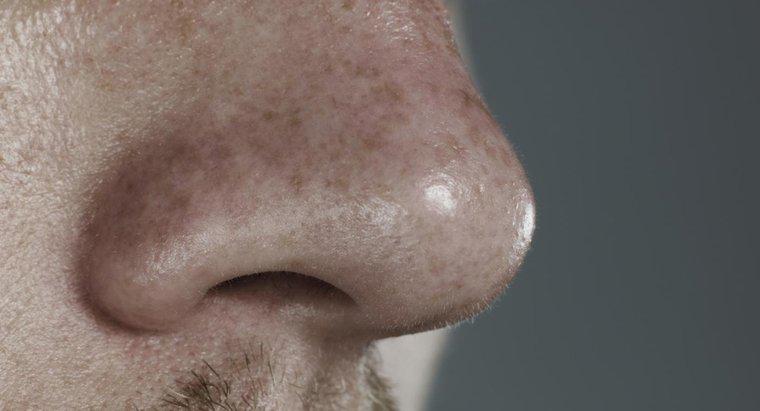 Quali sono le cause delle piaghe nel naso?