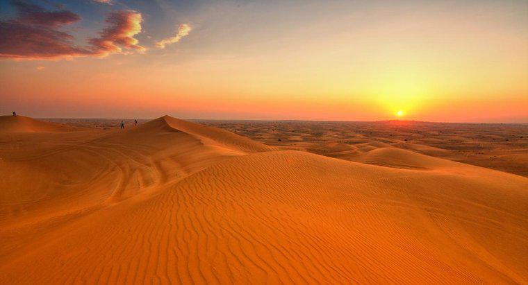 Quali sono i fattori biotici e abiotici nei deserti?