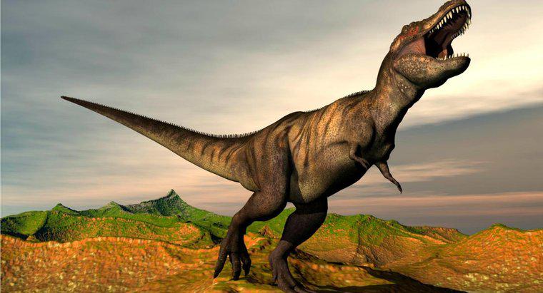 Quali sono alcuni fatti riguardo al Tyrannosaurus Rex?