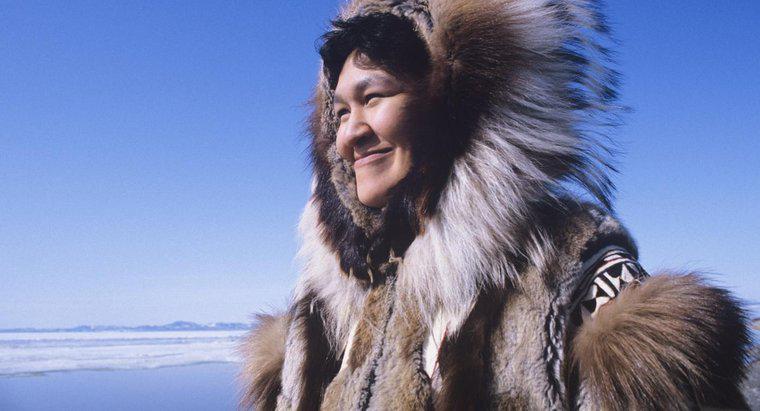Quali sono alcuni fatti riguardo alle persone Inuit?